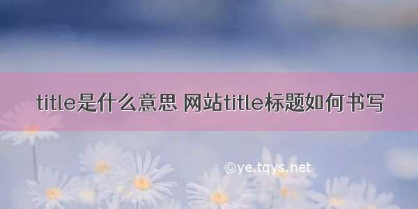 title是什么意思 网站title标题如何书写