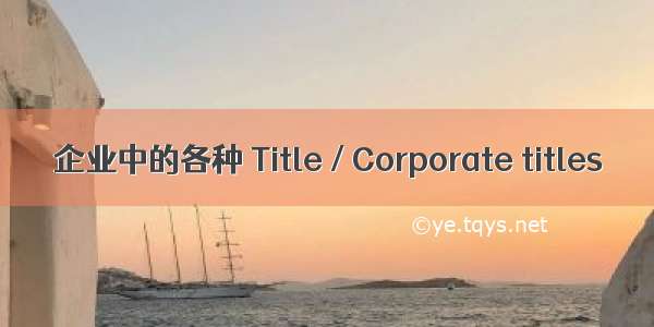 企业中的各种 Title / Corporate titles