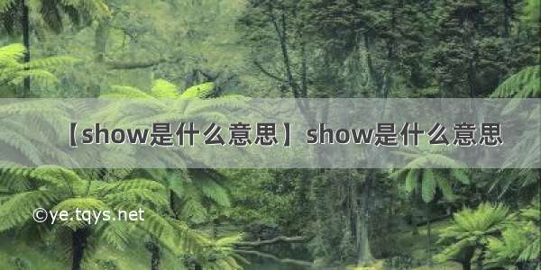 【show是什么意思】show是什么意思