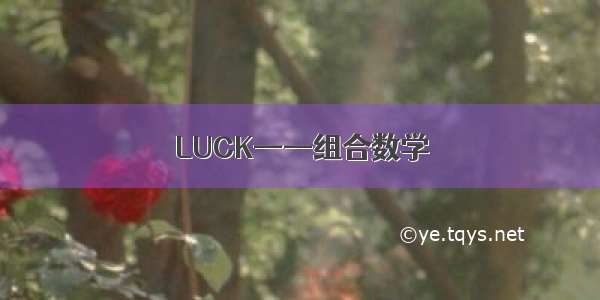 LUCK——组合数学