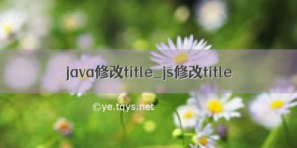 java修改title_js修改title