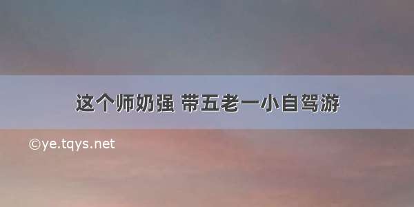 这个师奶强 带五老一小自驾游