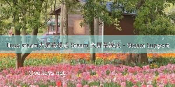 linux steam大屏幕模式 Steam 大屏幕模式 - Steam Support