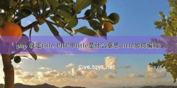 php 设定title PHP中title是什么意思 title如何编辑！