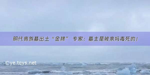 明代贵族墓出土“金牌” 专家：墓主是被亲妈毒死的！