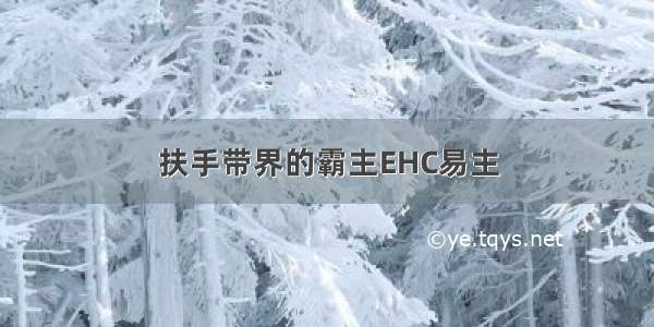 扶手带界的霸主EHC易主