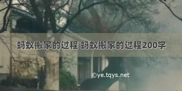 蚂蚁搬家的过程 蚂蚁搬家的过程200字