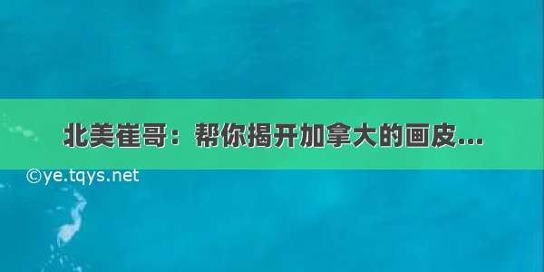 北美崔哥：帮你揭开加拿大的画皮...