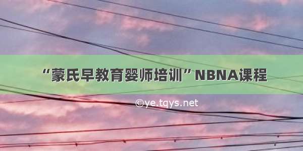 “蒙氏早教育婴师培训”NBNA课程