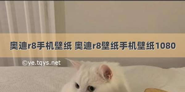 奥迪r8手机壁纸 奥迪r8壁纸手机壁纸1080