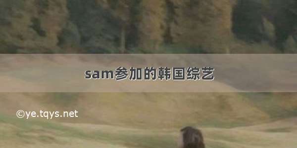 sam参加的韩国综艺