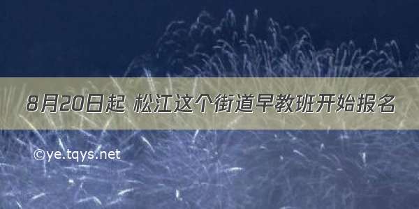 8月20日起 松江这个街道早教班开始报名