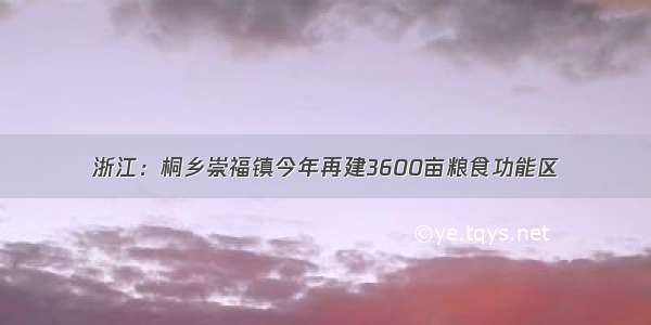 浙江：桐乡崇福镇今年再建3600亩粮食功能区