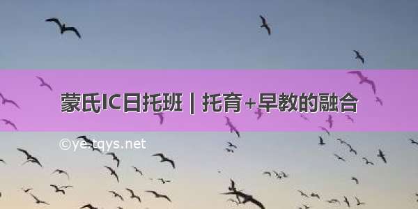 蒙氏IC日托班 | 托育+早教的融合