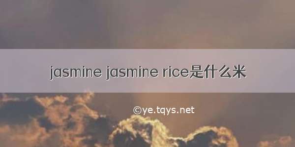 jasmine jasmine rice是什么米