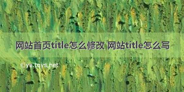 网站首页title怎么修改 网站title怎么写