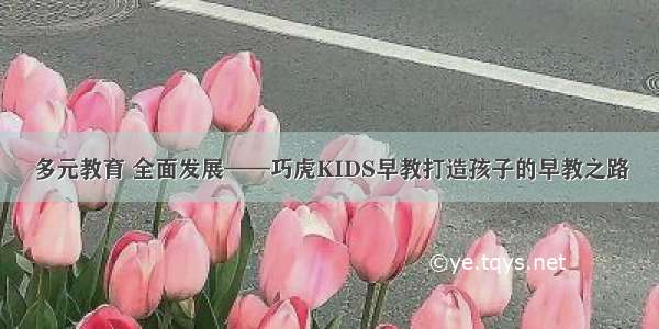 多元教育 全面发展——巧虎KIDS早教打造孩子的早教之路