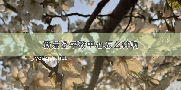 新爱婴早教中心怎么样啊