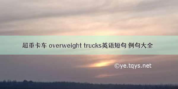 超重卡车 overweight trucks英语短句 例句大全