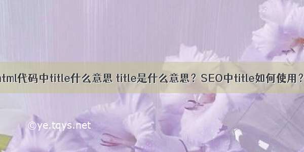 html代码中title什么意思 title是什么意思？SEO中title如何使用？