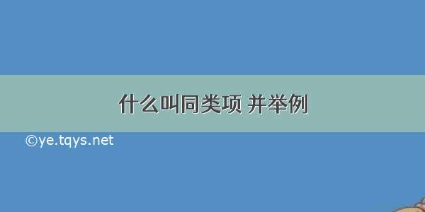 什么叫同类项 并举例