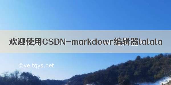 欢迎使用CSDN-markdown编辑器lalala