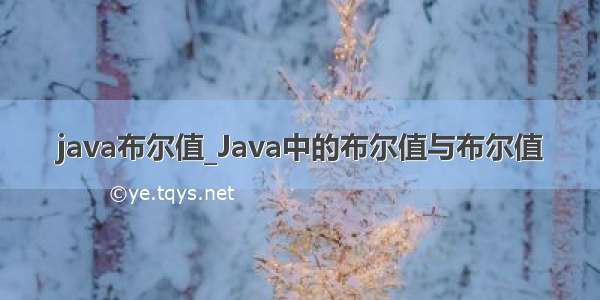 java布尔值_Java中的布尔值与布尔值