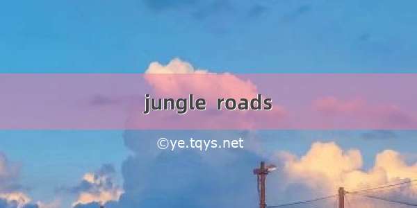 jungle  roads