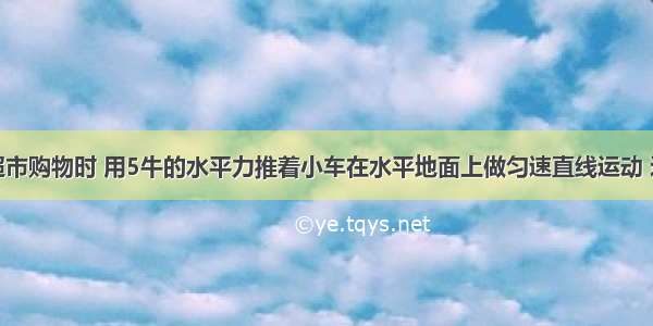 某同学在超市购物时 用5牛的水平力推着小车在水平地面上做匀速直线运动 这时小车受