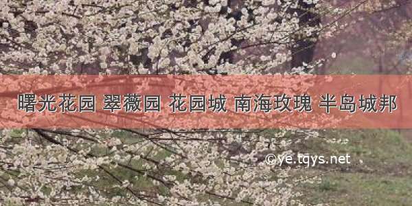 曙光花园 翠薇园 花园城 南海玫瑰 半岛城邦