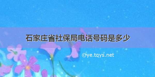 石家庄省社保局电话号码是多少