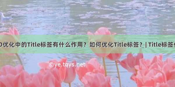 SEO优化中的Title标签有什么作用？如何优化Title标签？| Title标签作用