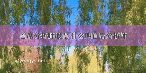 首席分析师股票 什么叫首席分析师