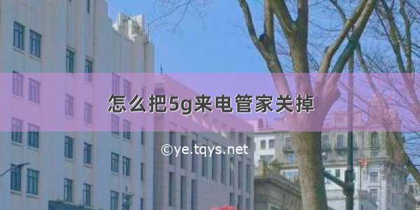 怎么把5g来电管家关掉