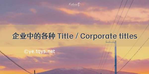 企业中的各种 Title / Corporate titles