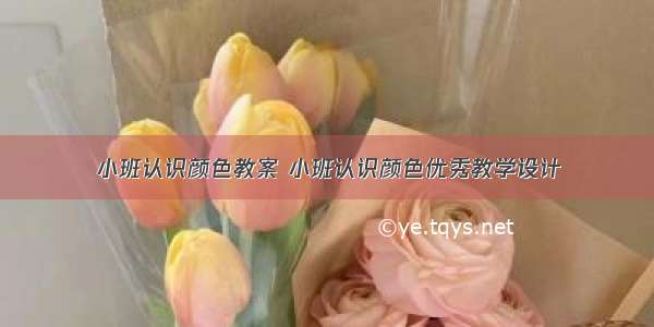 小班认识颜色教案 小班认识颜色优秀教学设计