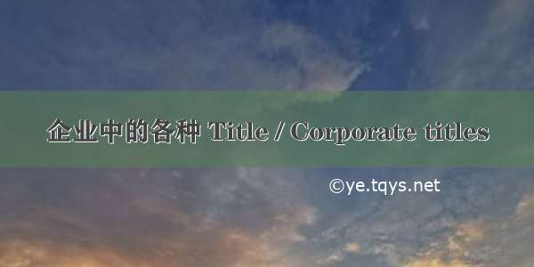 企业中的各种 Title / Corporate titles