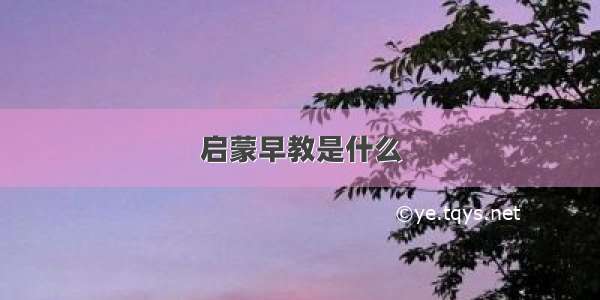 启蒙早教是什么