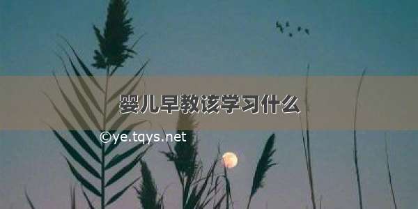 婴儿早教该学习什么