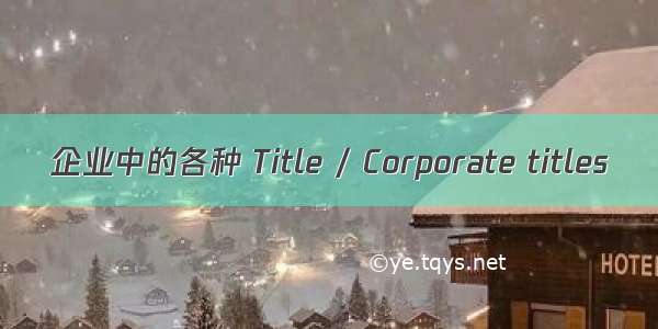 企业中的各种 Title / Corporate titles