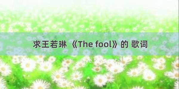 求王若琳 《The fool》的 歌词