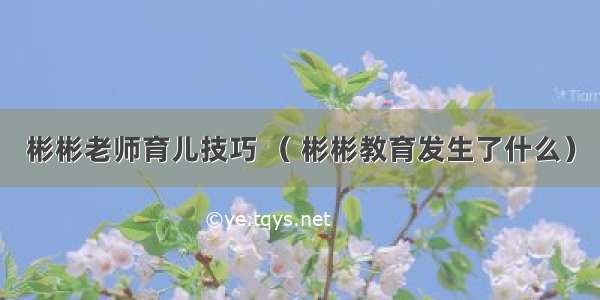 彬彬老师育儿技巧 （ 彬彬教育发生了什么）