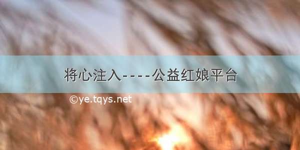 将心注入----公益红娘平台