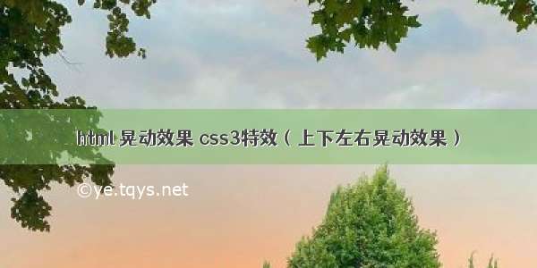 html 晃动效果 css3特效（上下左右晃动效果）