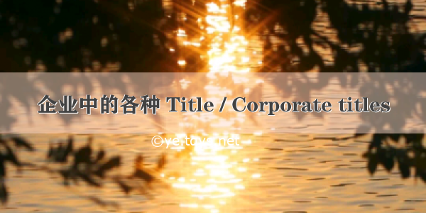 企业中的各种 Title / Corporate titles