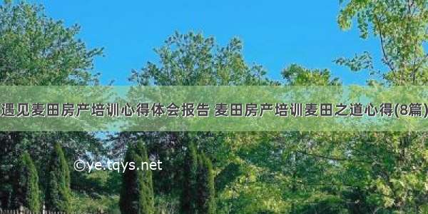 遇见麦田房产培训心得体会报告 麦田房产培训麦田之道心得(8篇)