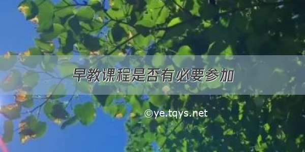 早教课程是否有必要参加