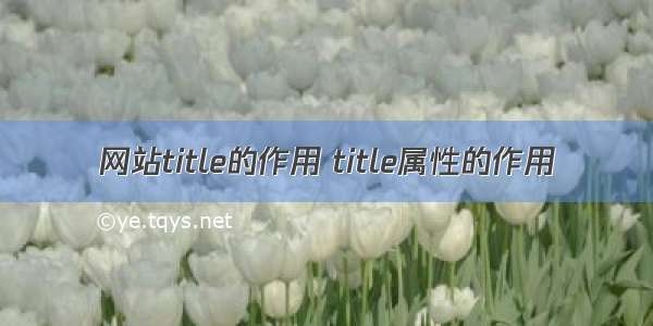 网站title的作用 title属性的作用