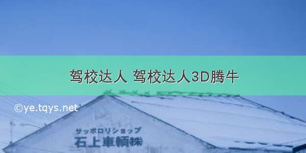 驾校达人 驾校达人3D腾牛