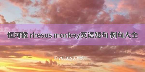 恒河猴 rhesus monkey英语短句 例句大全